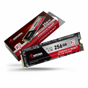 SSD M2 256GB 2280 NVME PCIe GEN 3.0 X 4 KEEPDATA KDNV256G-J12  X